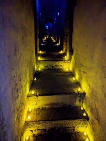 BUYER_TEMPLATE_EVENT_SHOW_TICKETS_FOR_ALT